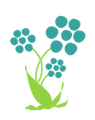 calico flowers logo